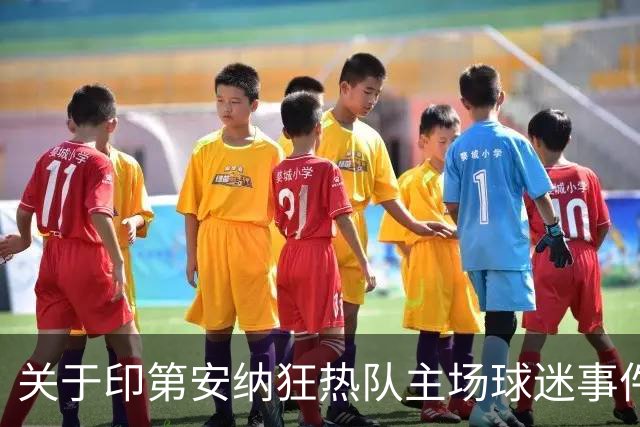 关于印第安纳狂热队主场球迷事件的公开讨论倡议